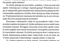 michałowski_stanisław__-_opracowanie_str_044